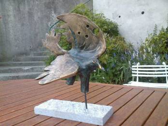 colombe