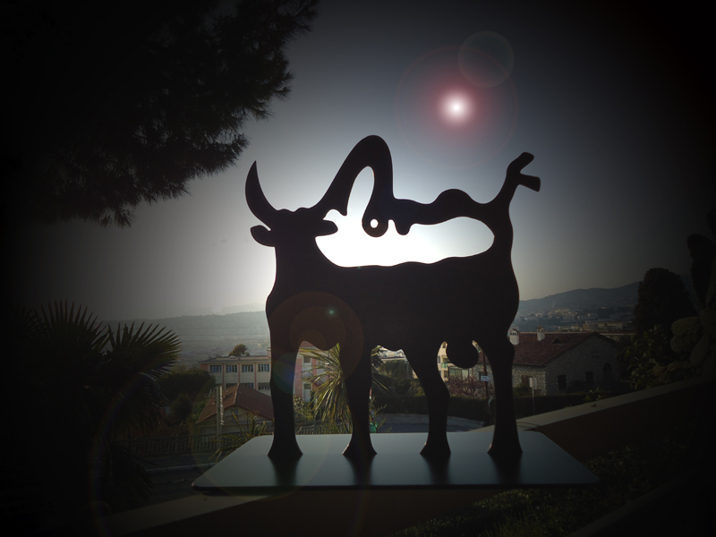 toro